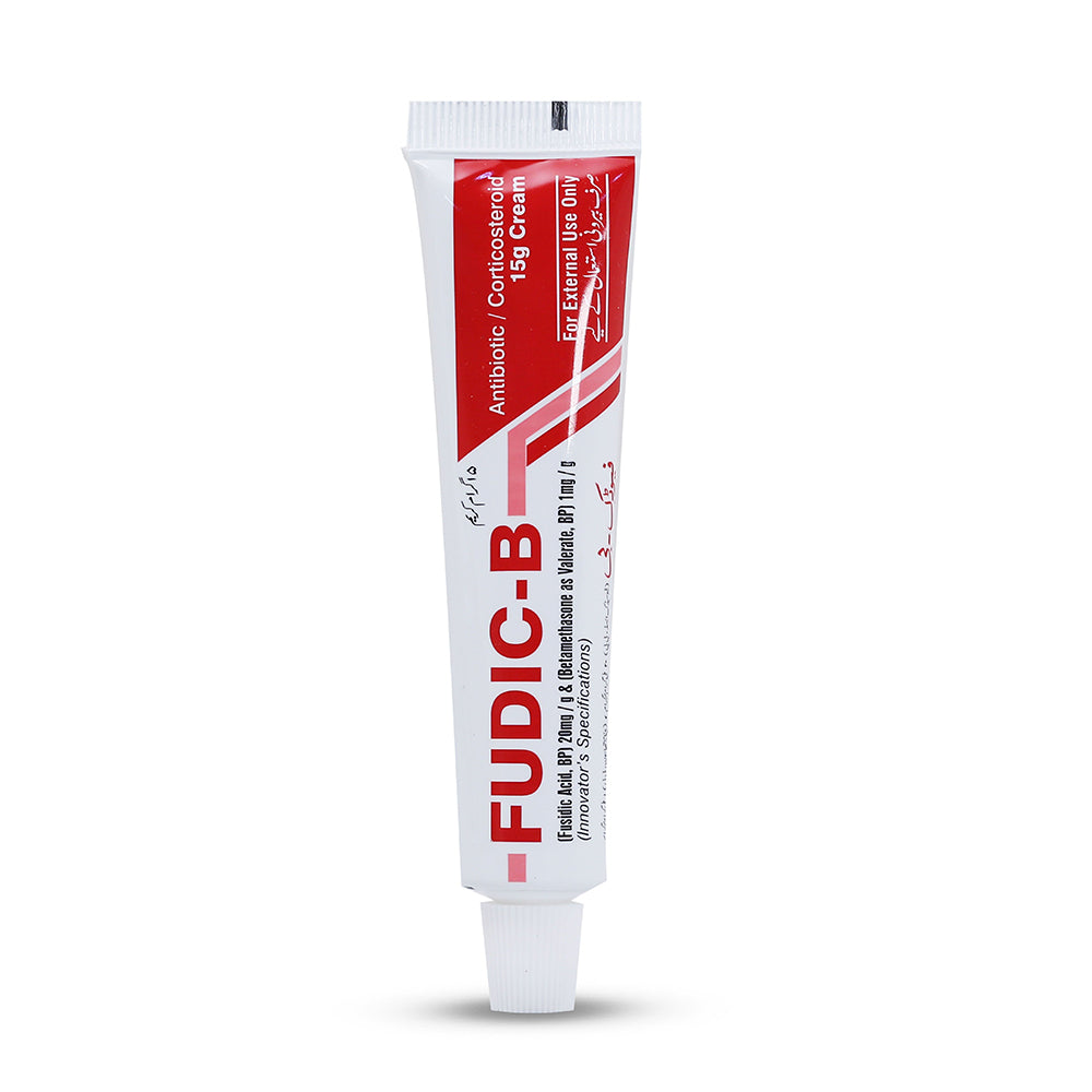 FUDIC B