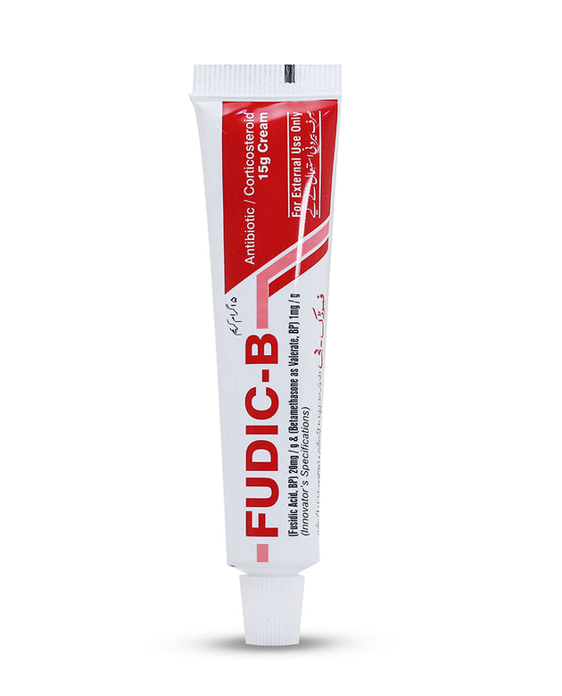 FUDIC B