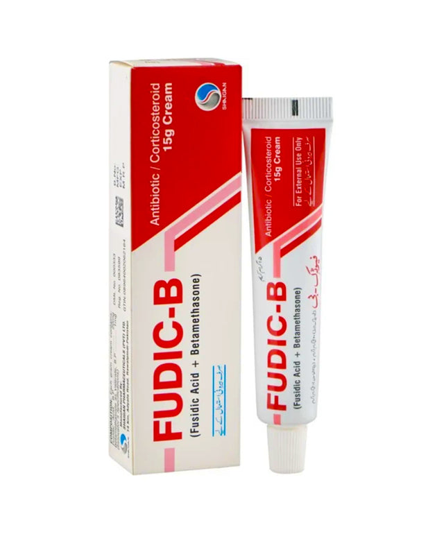 FUDIC B